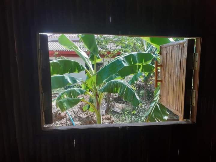 Odambang Village Homestay Battambang Exteriör bild
