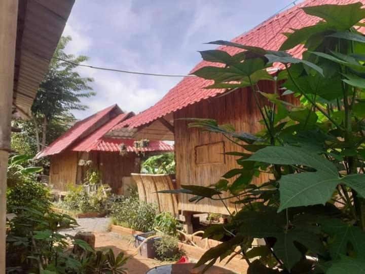 Odambang Village Homestay Battambang Exteriör bild