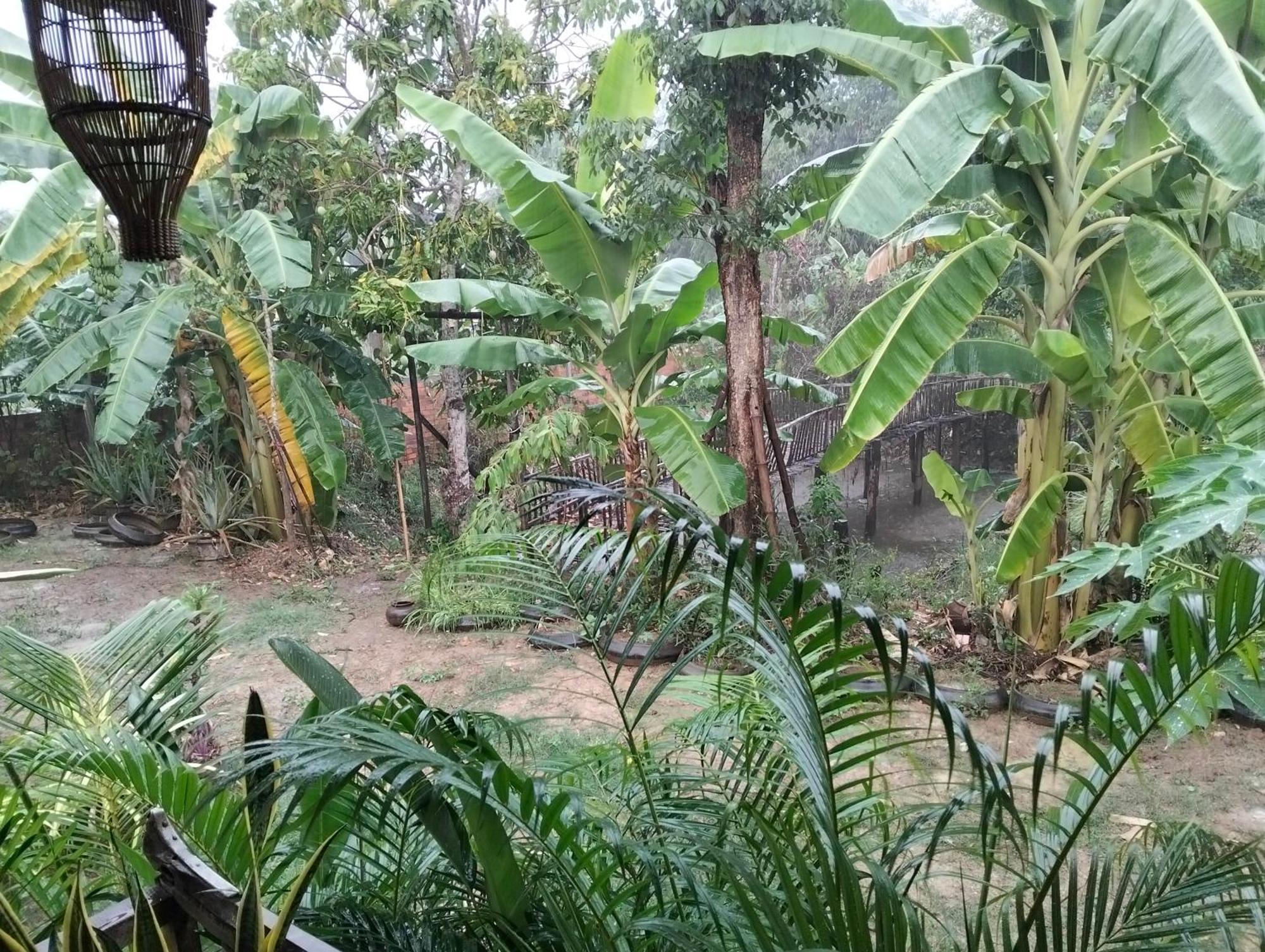 Odambang Village Homestay Battambang Exteriör bild